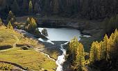 05 Lago della Cava. Di ombra e di luce